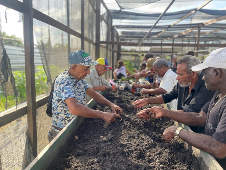 Dia do Meio Ambiente: Centro de Sustentabilidade promove integração entre pessoas brasileiras e refugiadas em Roraima