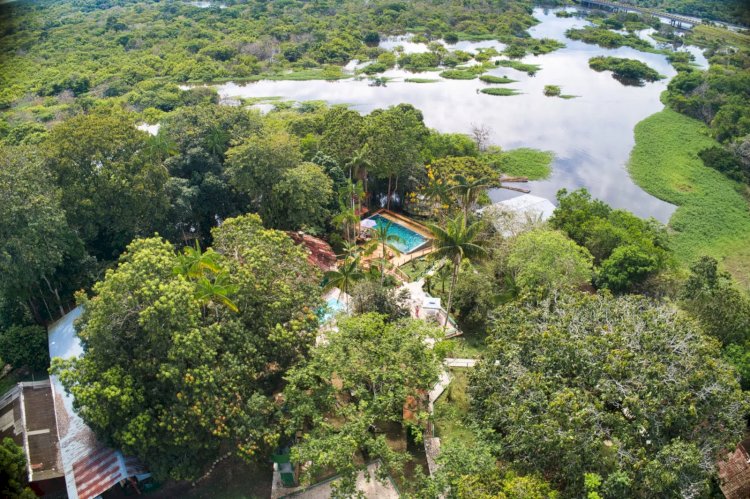 Dia dos Namorados: Sumaúma vai sortear hospedagens no Amazônia Jungle Hotel