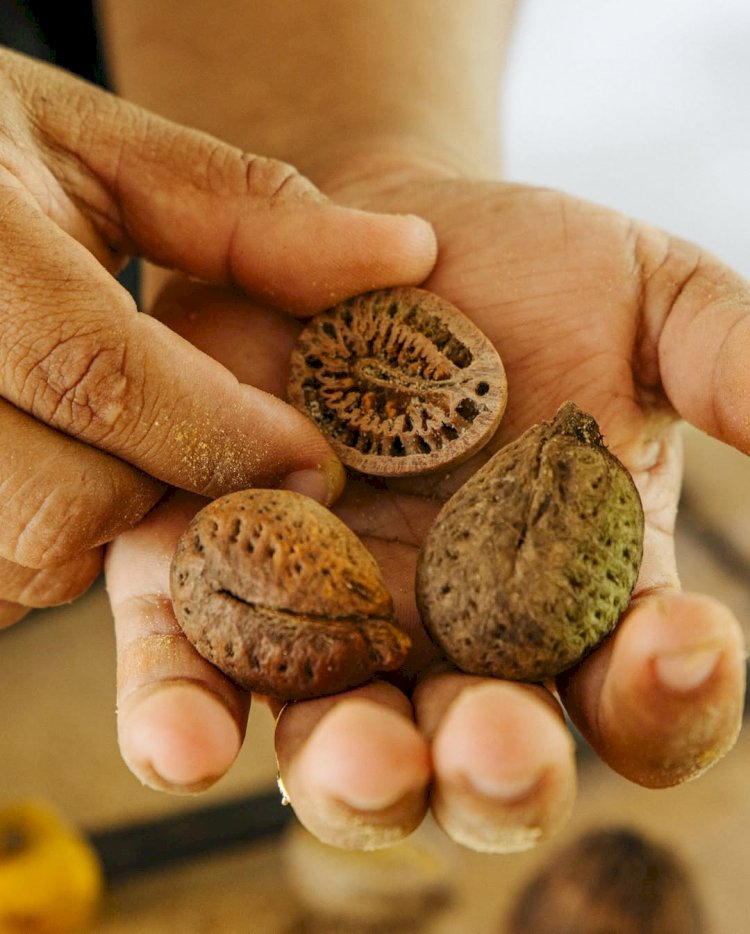 Negócio da floresta cria biojoias e gera renda para mulheres ribeirinhas