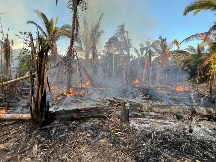 Em ação conjunta, MPAM realiza ronda ambiental e flagra incêndio criminoso em Manicoré