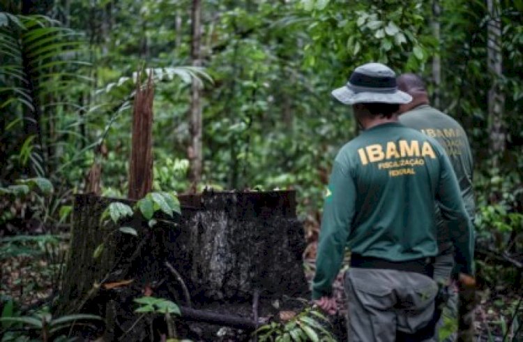 Governo do Brasil autoriza nomeação de 460 novos servidores e servidoras para o Ibama
