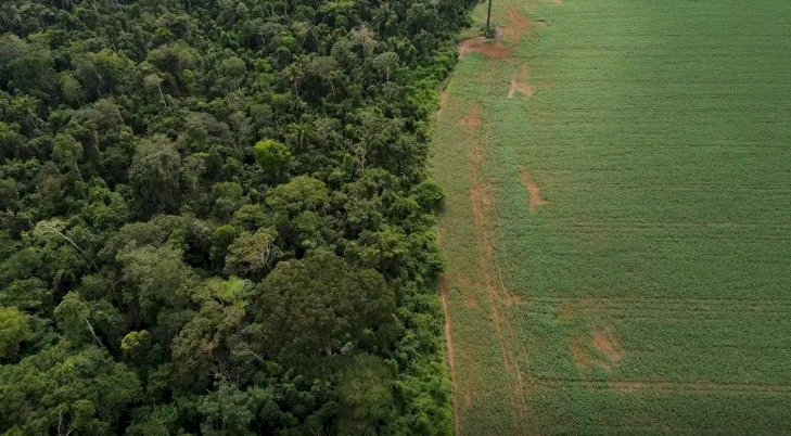 Brasil apresenta soluções de financiamento climático em Nova York
