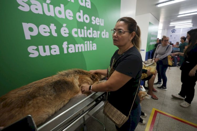 Hospital Público Veterinário do Amazonas garante atendimentos clínicos e de emergência no primeiro dia de funcionamento