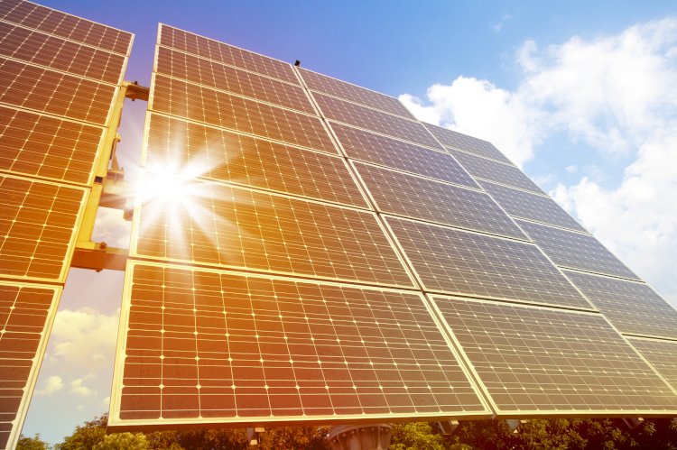 Banco do Nordeste destaca atuação em energia limpa, microfinanças e preservação da Caatinga na COP30