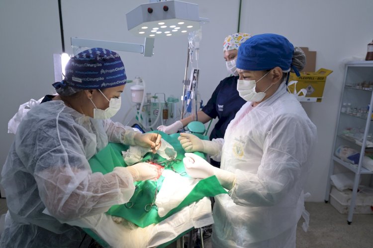 Em dois meses de funcionamento, Hospital Público Veterinário do Amazonas já realizou mais de 70 mil procedimentos