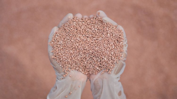 Brazil Potash inicia teste de triagem de minério por raios X com Inteligência Artificial