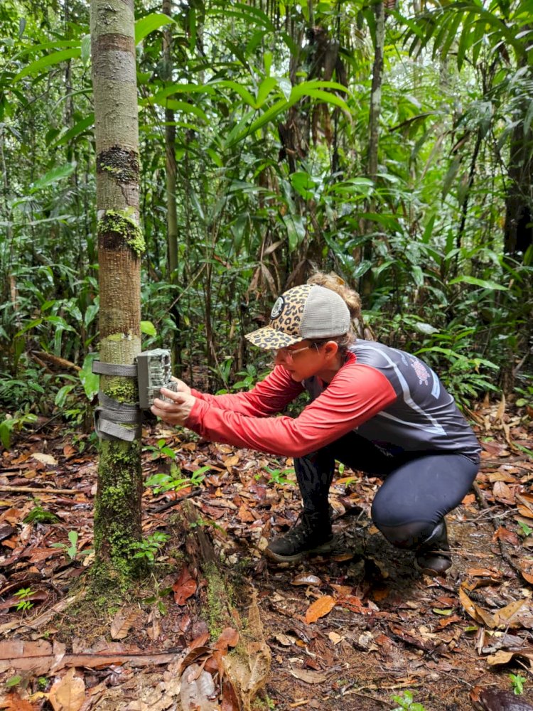 Sema instala câmeras trap em Unidades de Conservação da BR-319 para fortalecer monitoramento da fauna
