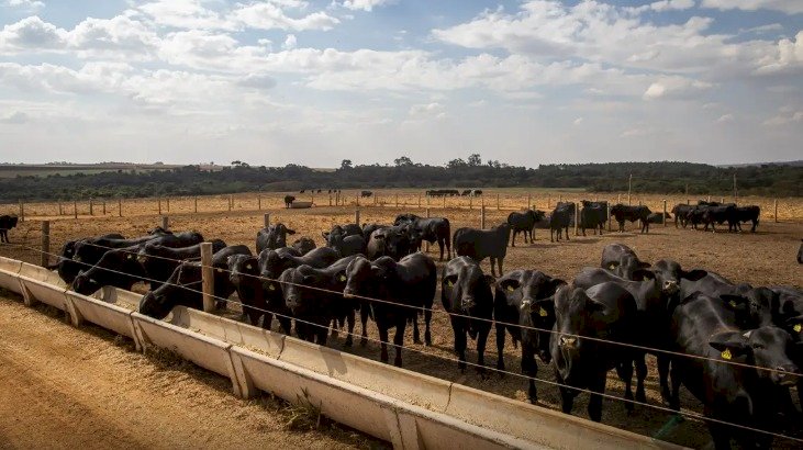 Atividade econômica brasileira cresce 2,5% em 2025