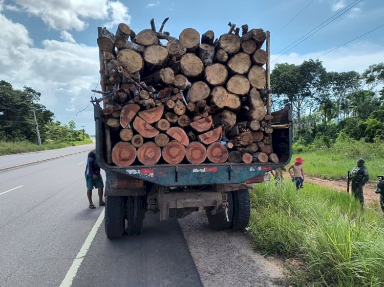 Operação Região Metropolitana: Ipaam apreende caminhão e lenha transportada sem documentação na AM-070
