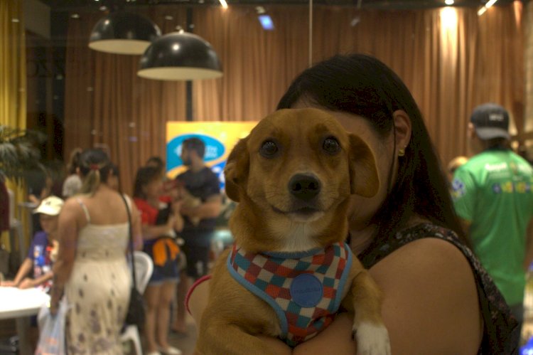 Sepet leva castração, vacinação e adoção de animais ao bairro Jorge Teixeira, dia 28 de março