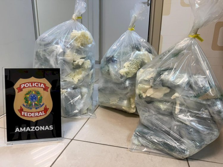 PF prende passageira em flagrante por tráfico de drogas no Aeroporto de Manaus