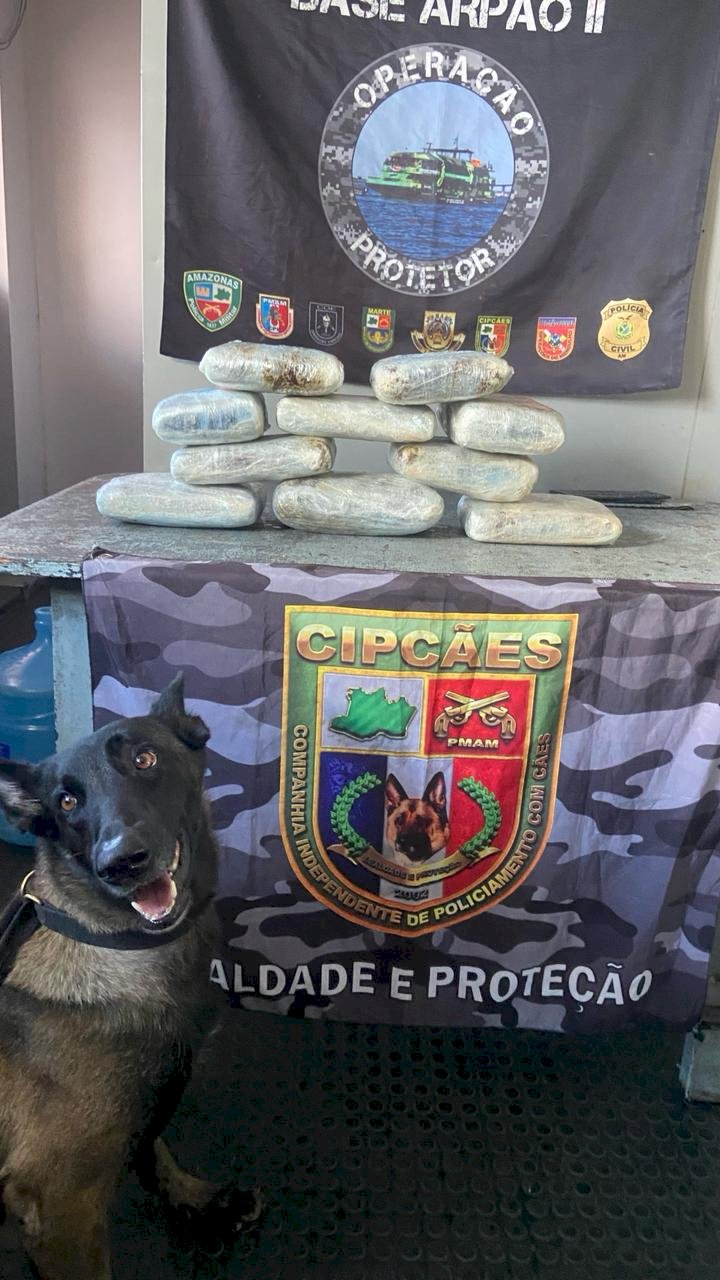 Base Arpão 2: Polícia encontra maconha do tipo skunk escondida em caixas com peixes e açaí